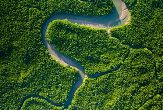 Addressing conflicts of interest in the voluntary carbon market